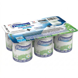 petit suisse  nature